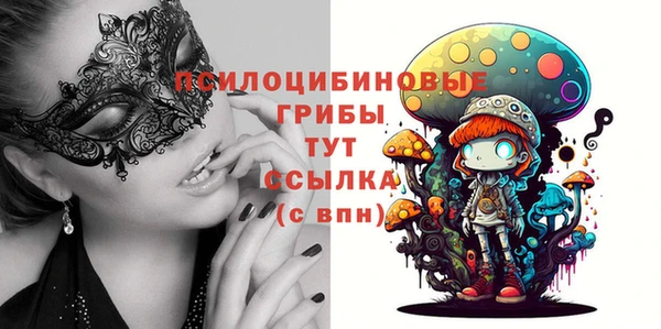 таблы Вяземский
