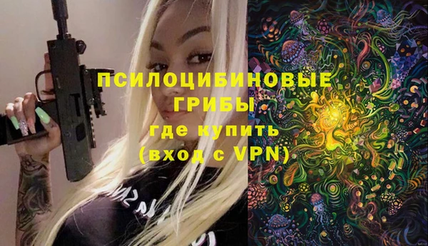 таблы Вяземский